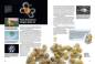 Preview: Entdecke die Schnecken